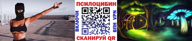 omg маркетплейс  Гаврилов-Ям  Галлюциногенные грибы мухоморы  дарнет шоп 